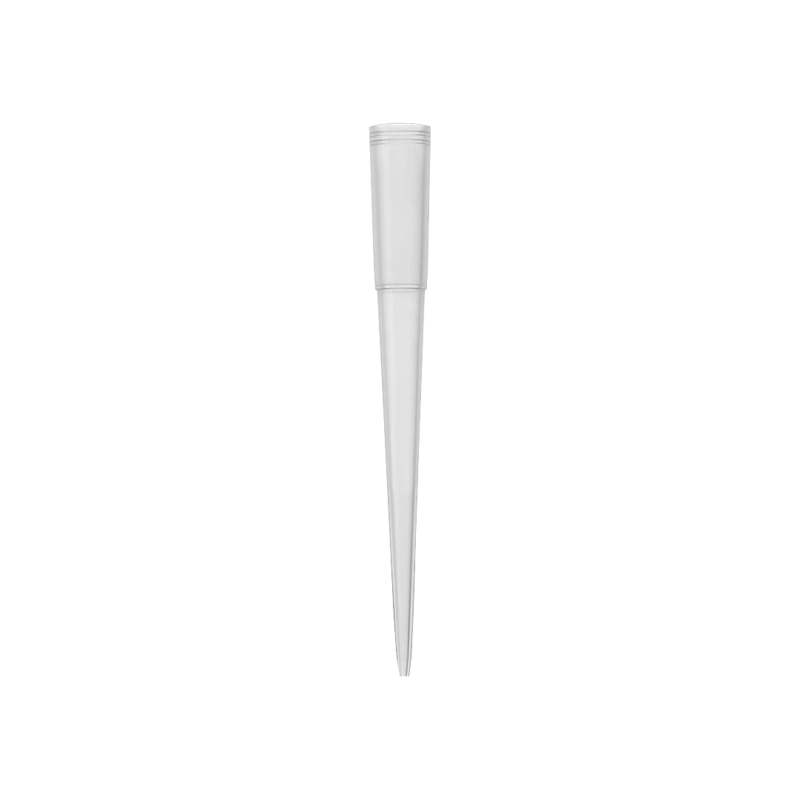 puntale tipo oxford slim